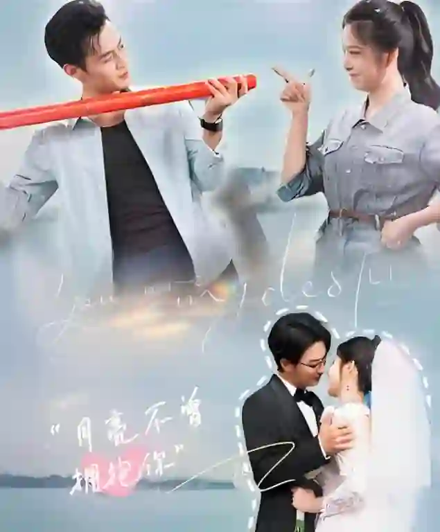 月亮不曾拥抱你