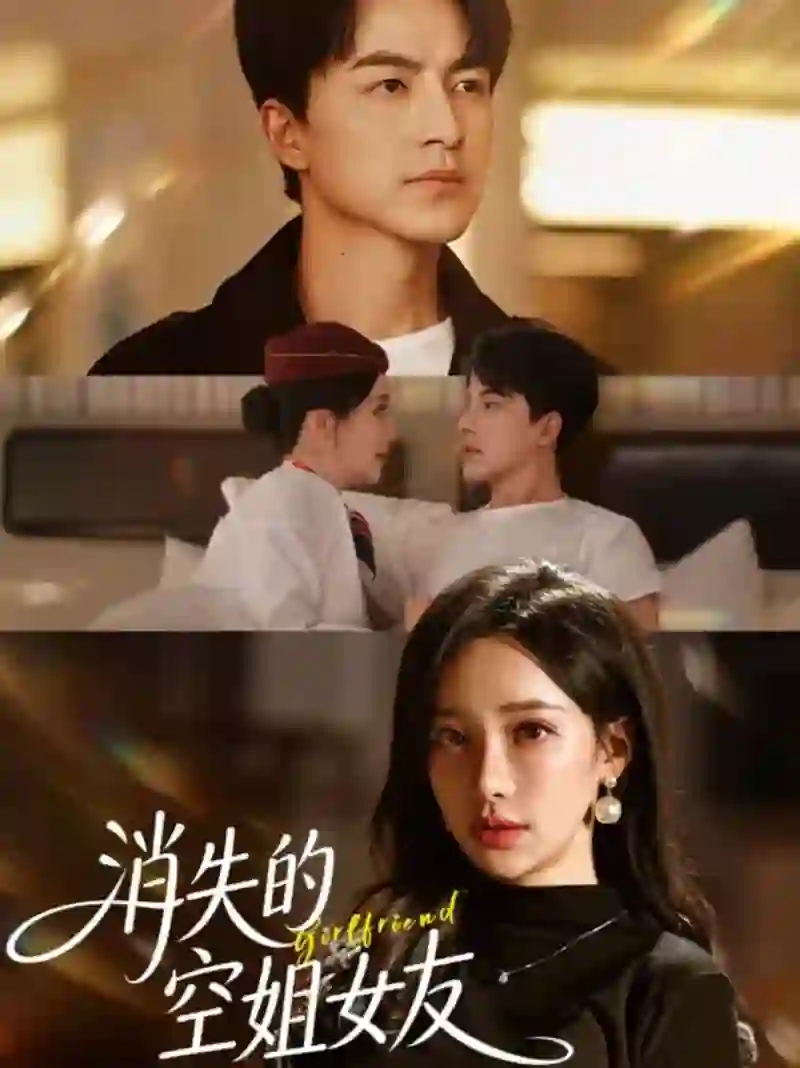 消失的空姐女友